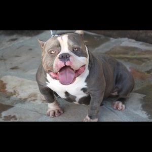 Meet your Posher, Jordan